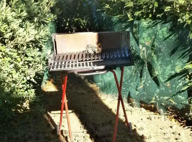 Διαμέρισμα In 24604